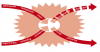Transitiemaker Academy